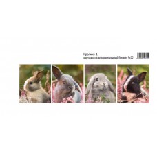 Картинки водорастворимые Кролики-1  10х21 см