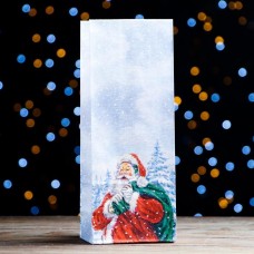 Пакет бумажный фасовочный "Дед Мороз" 10 х 26 х 7 см