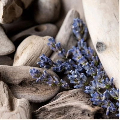 Ароматическое масло Лаванда и плавник (Lavender Driftwood) CS, 10 мл для свечей, мыла, косметики